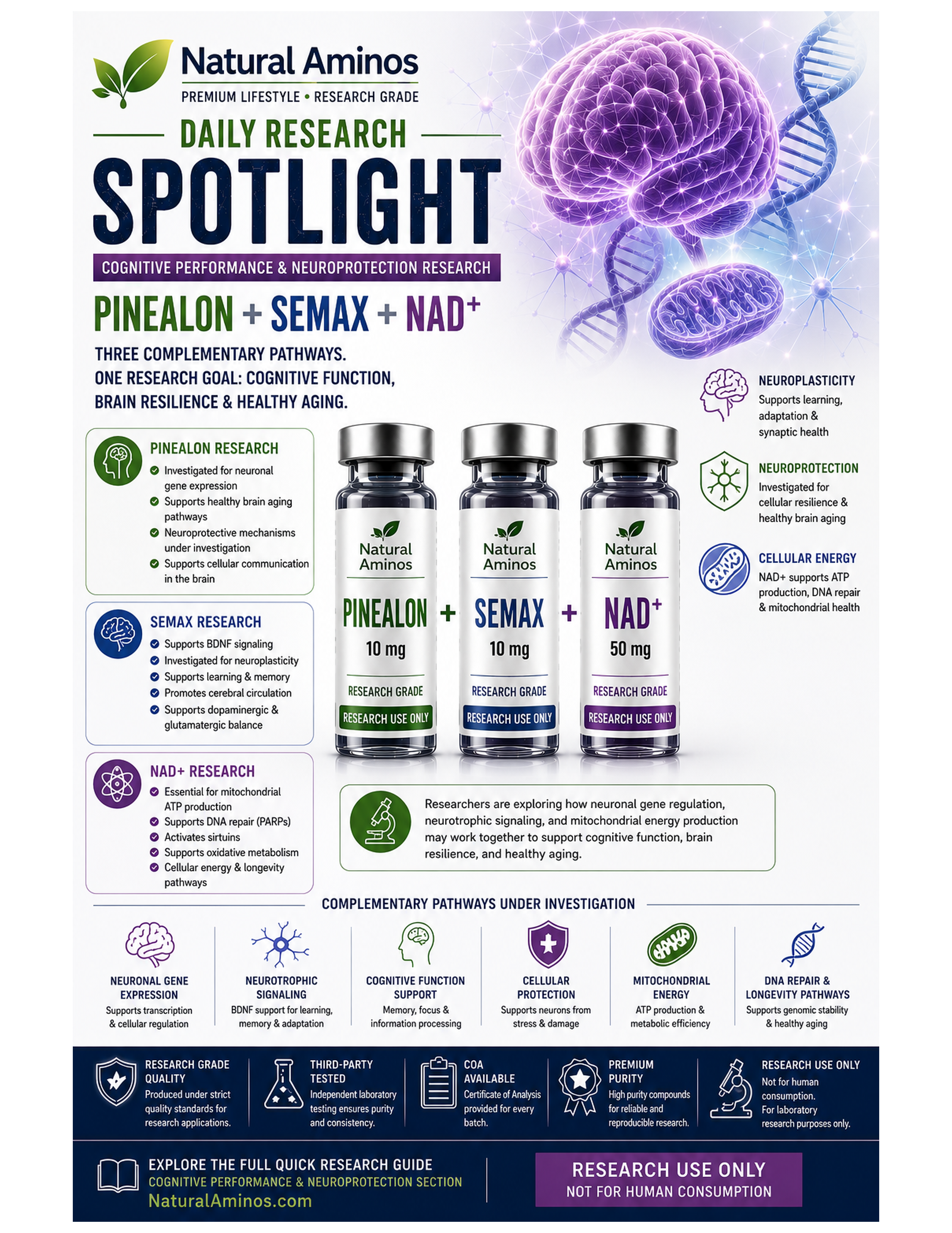 Pinealon + Semax + NAD+ research graphic